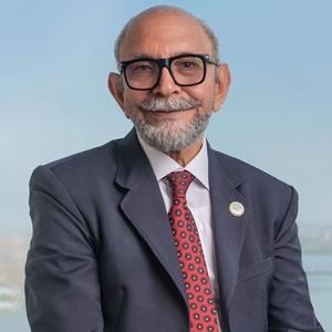 Abdel Aziz  Hassouba