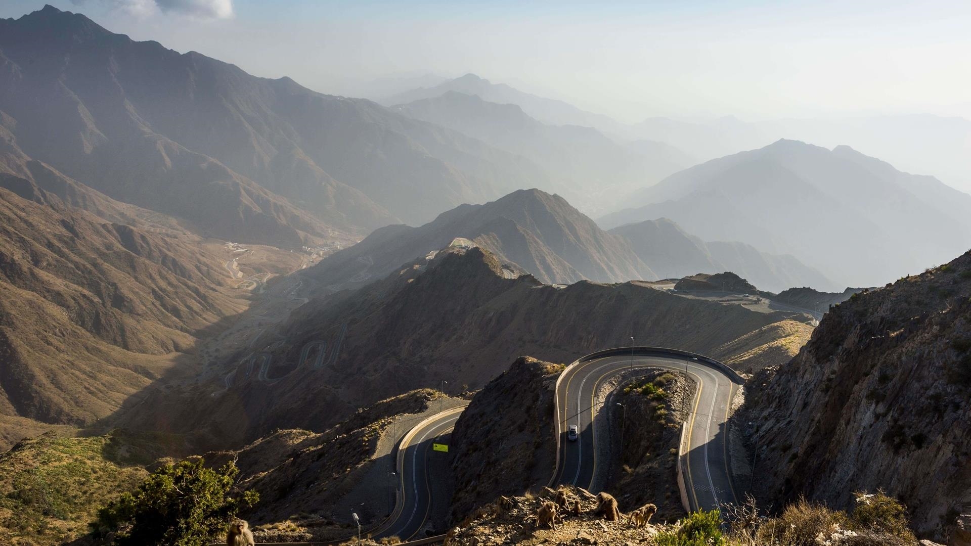 Saudi Arabia's updated Investment Law: an overview and comparative ...