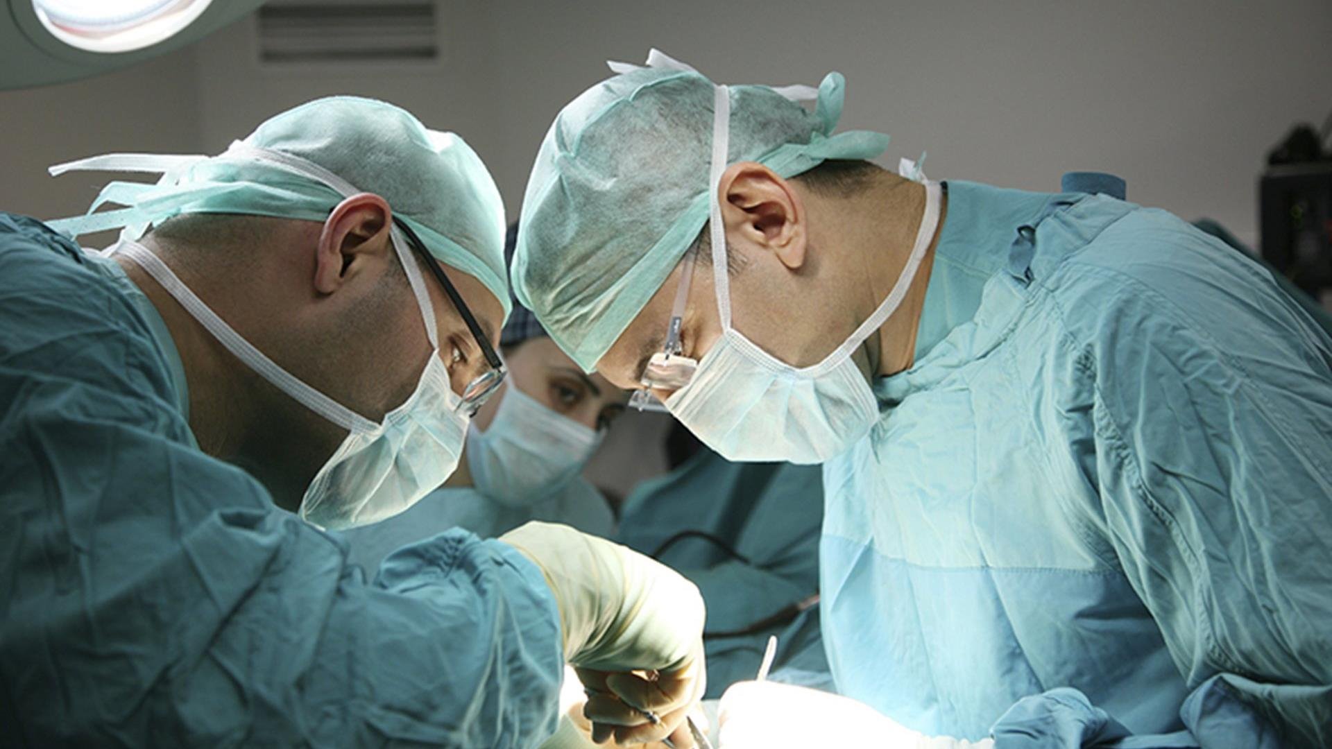 Material Contribution - Williams v The Bermuda Hospitals Board (Privy  Council) : Clyde & Co