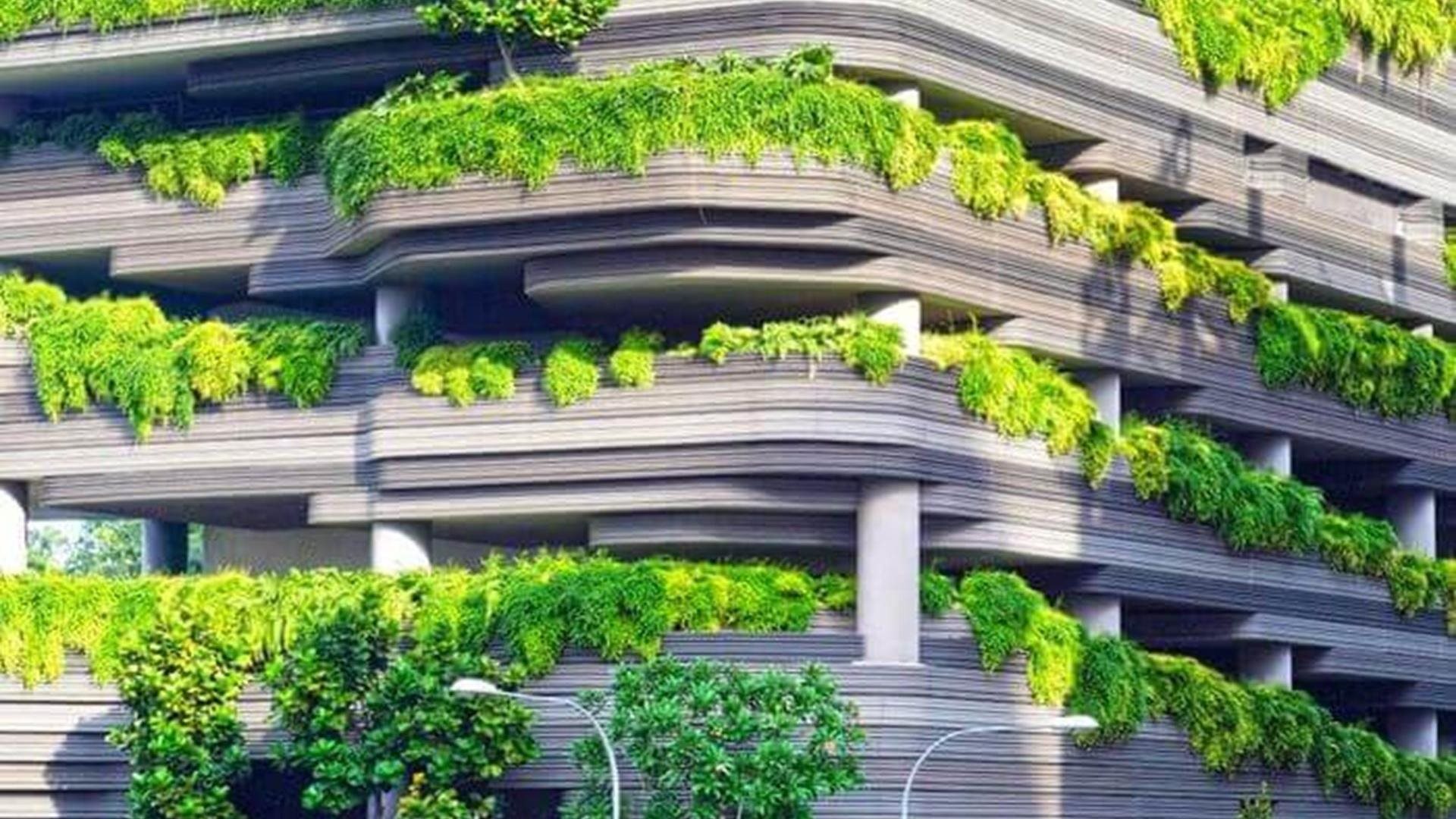 clyde-co-offers-hr-eco-audit-to-help-employers-tackle-climate-change