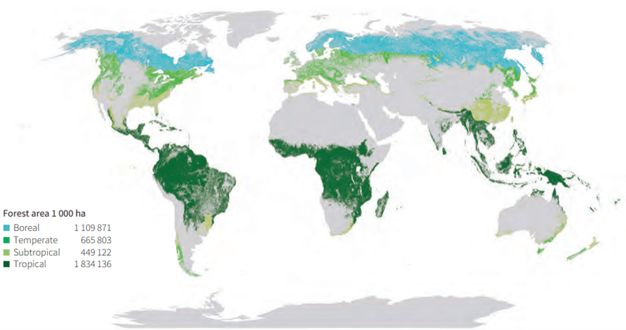 New Law in Europe to Fight Deforestation: Impacts and Opportunities for ...